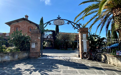 15 TOUR TRA LE CANTINE (Bosoni, Federici e Ramarro)