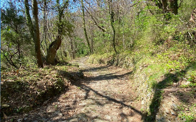 10 AI PIEDI DEL MONTE CORCHIA (nel cuore delle Apuane)